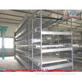 China automatic poultry equipment